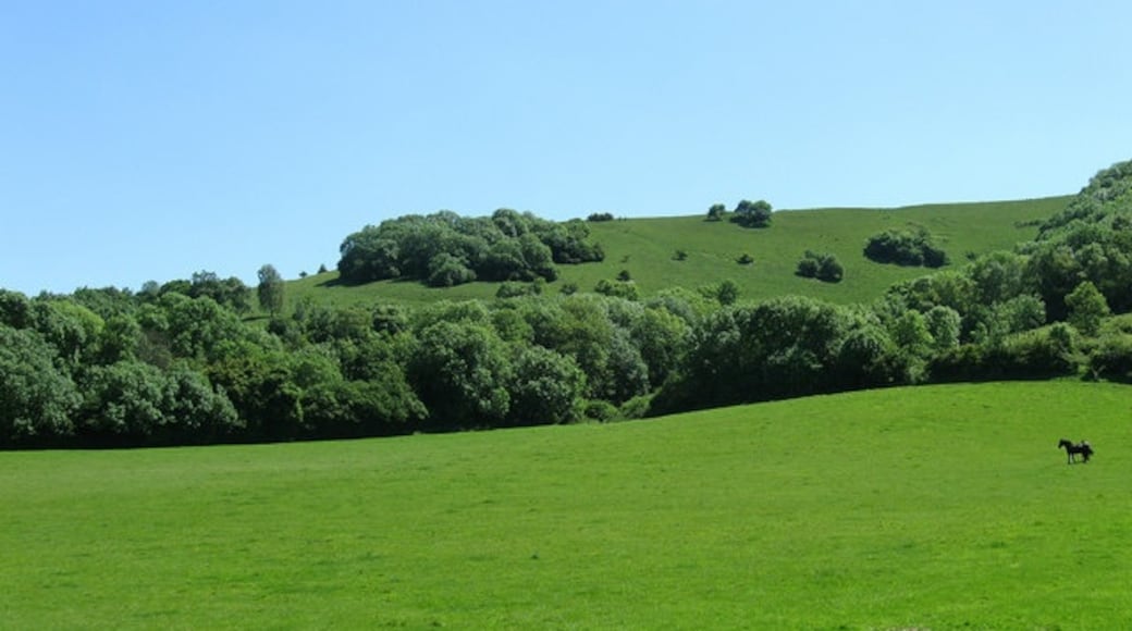 Billede "Storrington og Sullington" af Simon Carey (CC BY-SA) / beskåret fra det originale billede