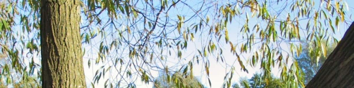 Photo "Park and Rides. Children's swings and slides in parkland within a housing estate off Bramhall Moor Lane,Stockport." by Roger May (Creative Commons Attribution-Share Alike 2.0) / Cropped from original