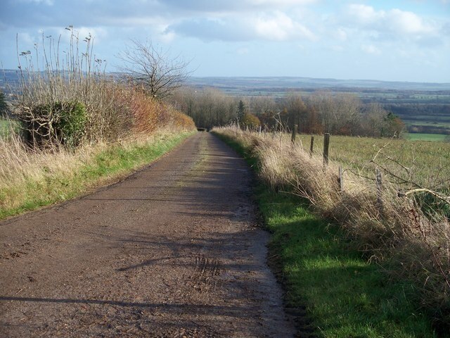 Kuva ”Icomb” käyttäjältä Michael Dibb (CC BY-SA) / rajattu alkuperäisestä kuvasta