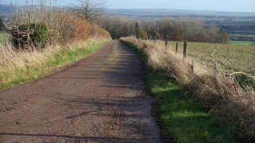 Kuva ”Icomb” käyttäjältä Michael Dibb (CC BY-SA) / rajattu alkuperäisestä kuvasta