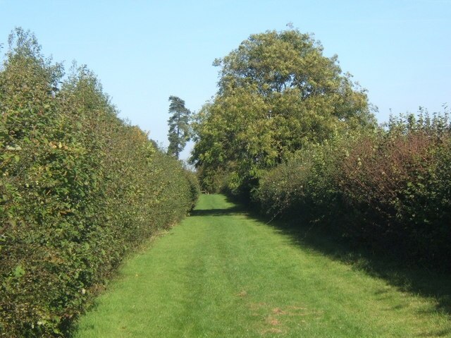 Billede "Harleston" af Andrew Hill (CC BY-SA) / beskåret fra det originale billede