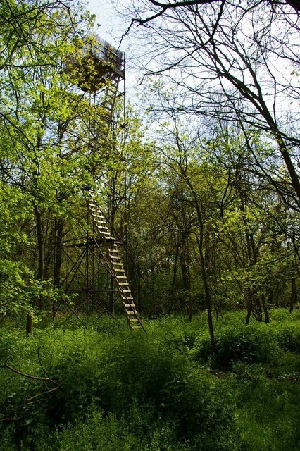 Kuva ”Pohjoinen Fambridge” käyttäjältä Glyn Baker (CC BY-SA) / rajattu alkuperäisestä kuvasta