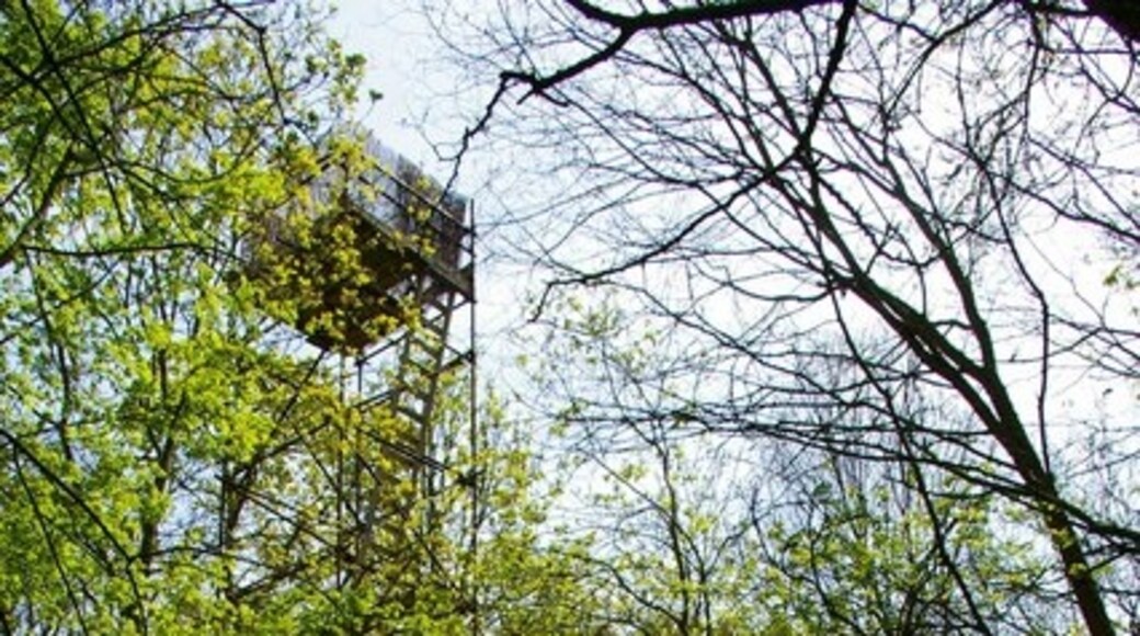 "North Fambridge"-foto av Glyn Baker (CC BY-SA) / Urklipp från original