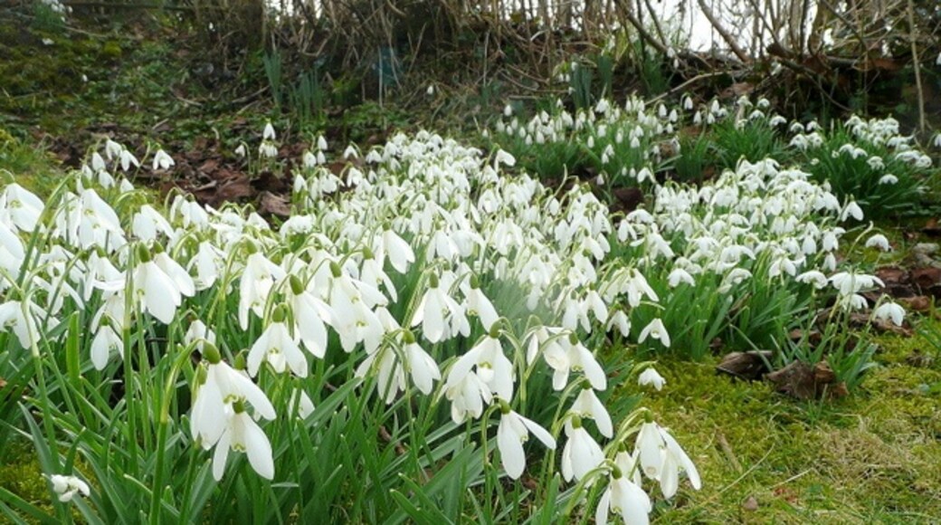 Foto "Batcombe" por Jonathan Billinger (CC BY-SA) / Recortada de la original