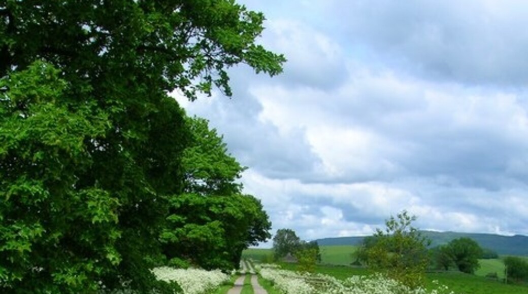 Foto “Eshton” tomada por John Darch (CC BY-SA); recorte de la original