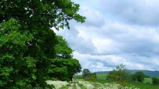 Foto „Eshton“ von John Darch (CC BY-SA)/zugeschnittenes Original