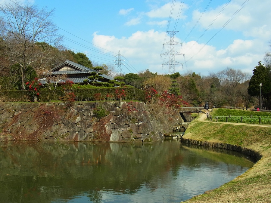 錦織公園・河内の里にて 2012.3.15