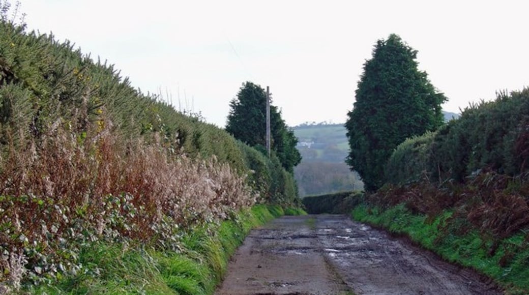 Photo "Llanarth" by Dylan Moore (CC BY-SA) / Cropped from original