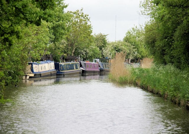 Foto “Hadzor” tomada por Pierre Terre (CC BY-SA); recorte de la original