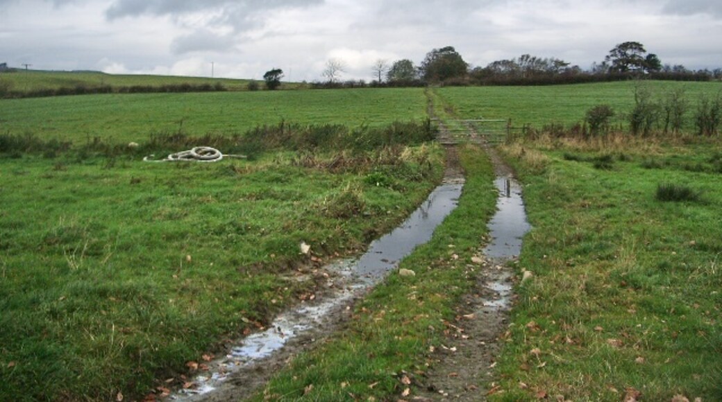 Foto "Blindcrake" de Alexander P Kapp (CC BY-SA) / Recortada do original