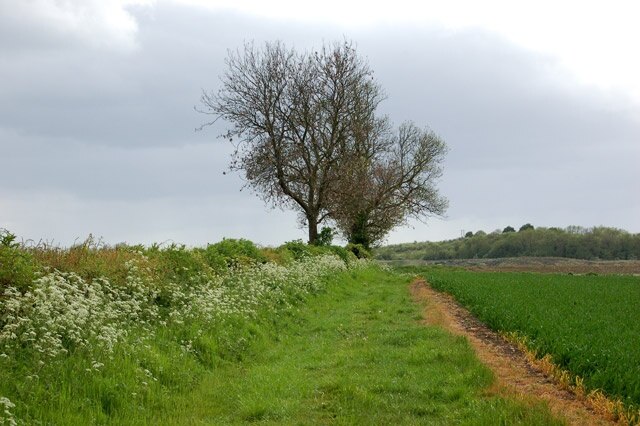 "Stockton CP"-foto av Andy F (CC BY-SA) / Urklipp från original