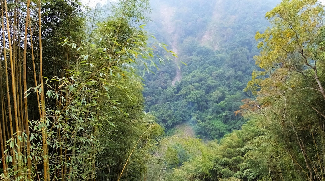 Foto ‘Elvenvallei’ van lienyuan lee (CC BY) / bijgesneden versie van origineel