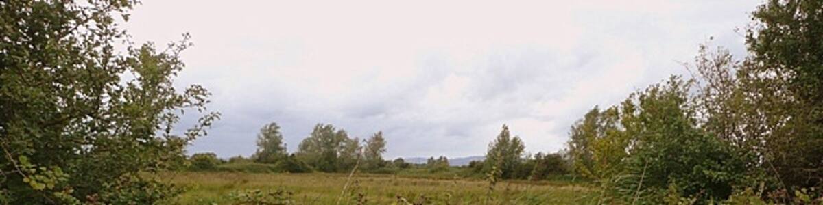 Photo "Rough ground next to the pipeline To the west of the pipeline road in this square, is rough ground. The blackberry crop witll be good in a few weeks time." by Graham Horn (Creative Commons Attribution-Share Alike 2.0) / Cropped from original