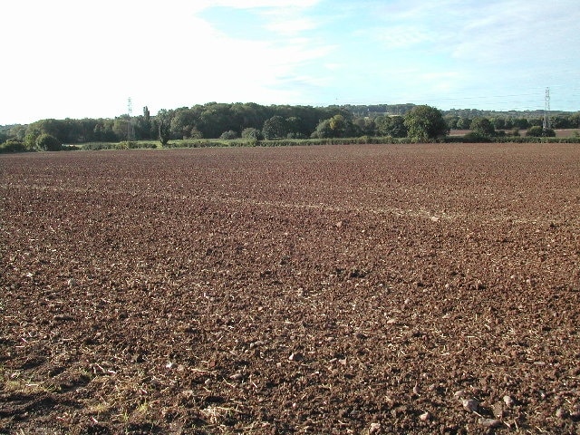 Foto “Kirklington” tomada por Tom Courtney (CC BY-SA); recorte de la original