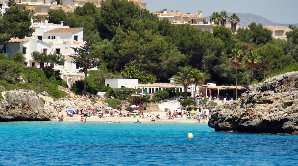 Photo "Cala Anguila Beach" by Oltau (CC BY) / Cropped from original