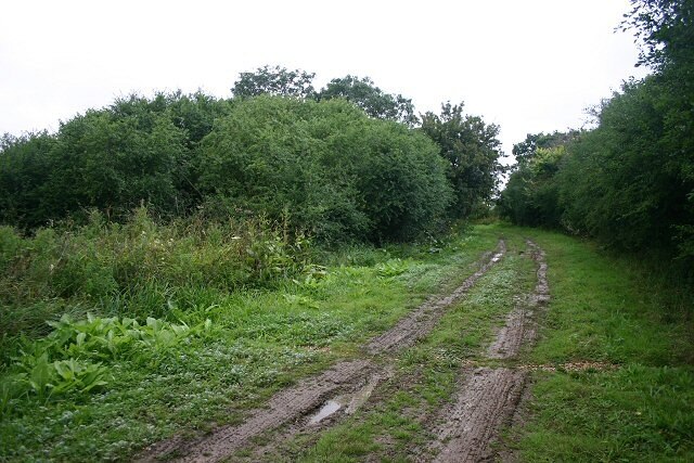 Foto “Easton” tomada por Bob Jones (CC BY-SA); recorte de la original