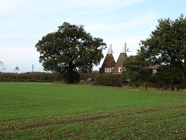 Oasts at Tillman Gate Farm. Converted, as most have been, for residential use. The crop looks like winter wheat.