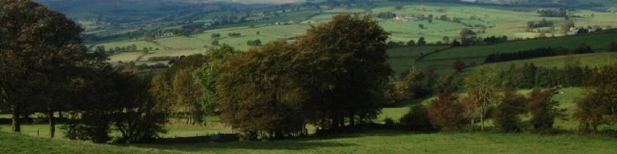 Photo "Looking across the Staffordshire peak from near Fernyknowle The north Staffordshire moors between Warslow and Quarnford can be seen in the distance." by Simon Huguet (Creative Commons Attribution-Share Alike 2.0) / Cropped from original