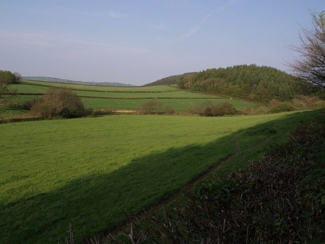 Knowle Wood A view from the lane west of Coryton Barton. On its right (north) side, Knowle Wood drops to the River Lew. Just beyond the left edge of the wood can be seen Lee Wood, beyond the Lew and further west.