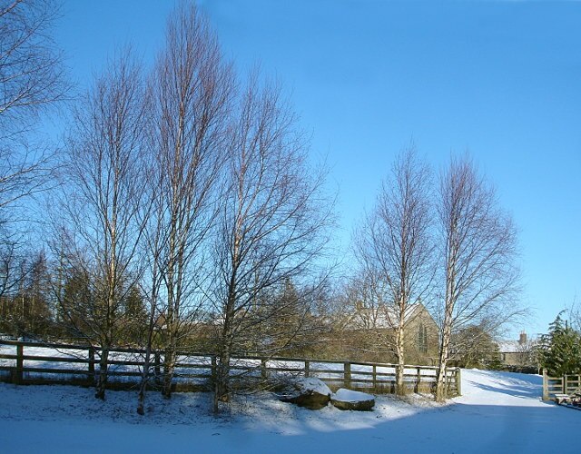 Foto "Boldron" de Andy Waddington (CC BY-SA) / Recortada do original