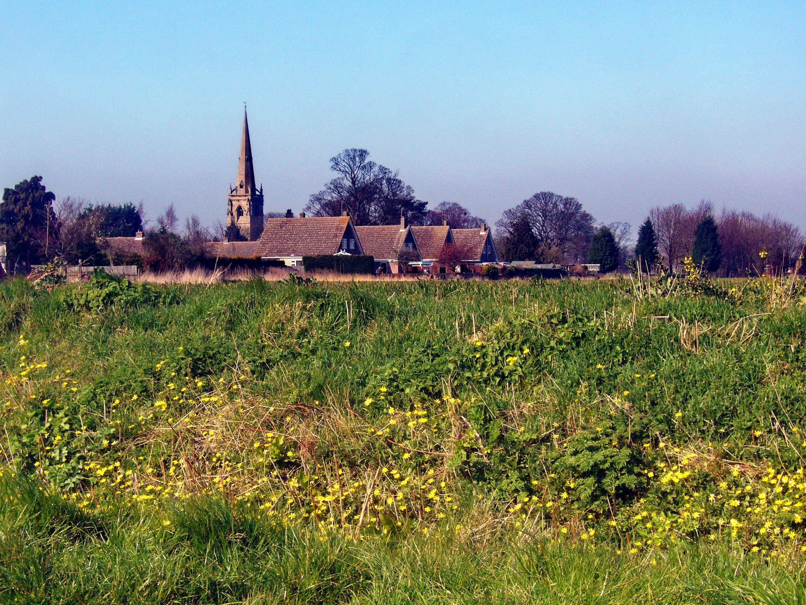 Kuva ”Silk Willoughby” käyttäjältä Tanya Dedyukhina (CC BY) / rajattu alkuperäisestä kuvasta