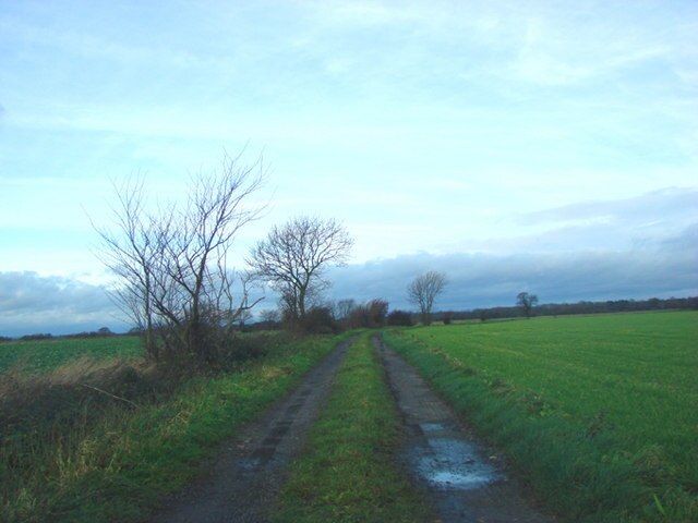 Photo "West Haddlesey" by Bill Henderson (CC BY-SA) / Cropped from original