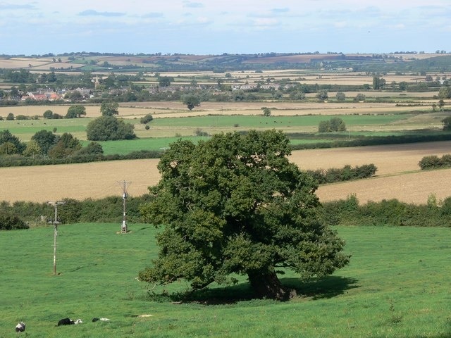 Foto “Rockingham” tomada por Mat Fascione (CC BY-SA); recorte de la original