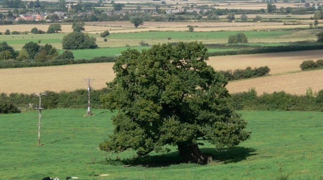 Foto “Rockingham” tomada por Mat Fascione (CC BY-SA); recorte de la original