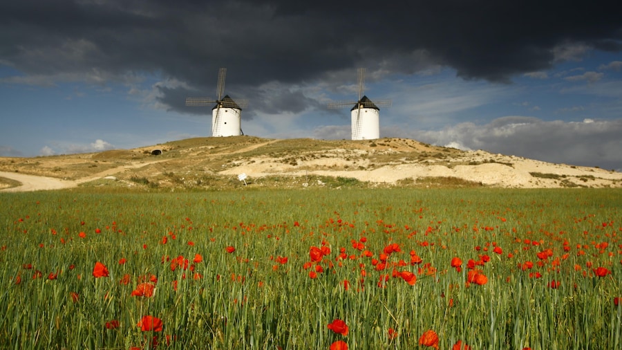 Photo "Molinos" by Michal Gorski (Creative Commons Attribution-Share Alike 3.0) / Cropped from original