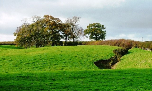 Kuva ”Ellerbeck” käyttäjältä Mick Garratt (CC BY-SA) / rajattu alkuperäisestä kuvasta