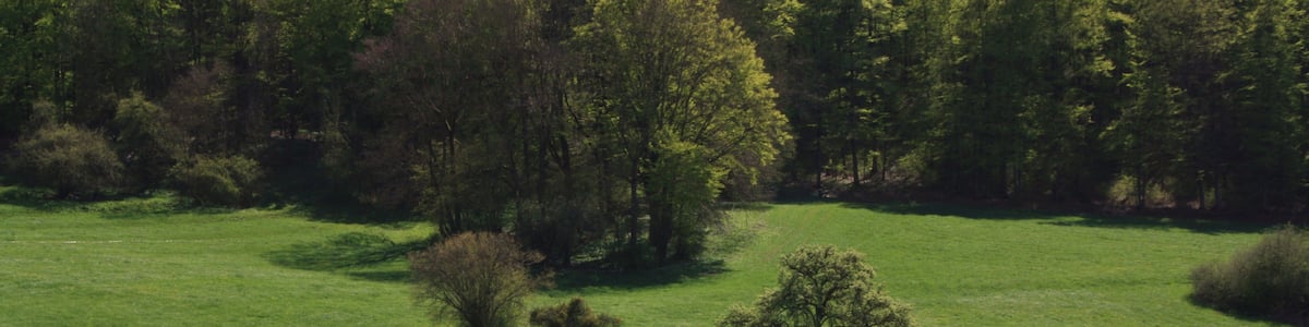 Photo "Streuobstbäume, Landschaftsschutzgebiet „Hessische Rhön“" by Verum (Creative Commons Attribution-Share Alike 3.0) / Cropped from original