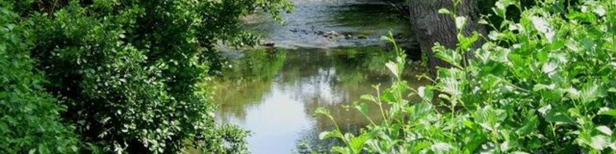 Photo "River Dore. From bridge along the B4347" by Hugh Venables (Creative Commons Attribution-Share Alike 2.0) / Cropped from original
