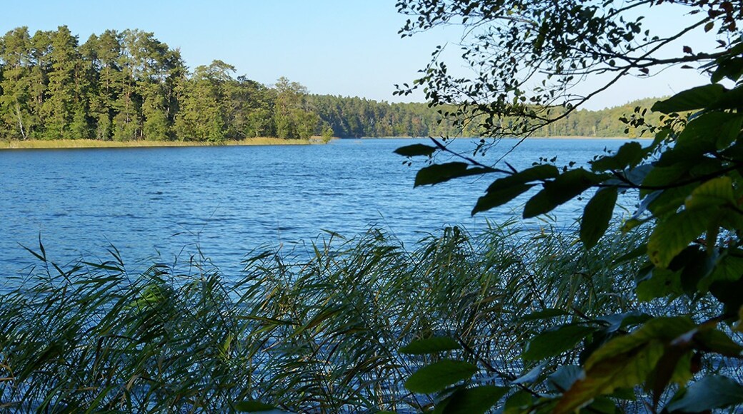 Foto „Stechlin-Runniper Land Nature Park“ von Brunhilde Schaefer (CC BY-SA)/zugeschnittenes Original