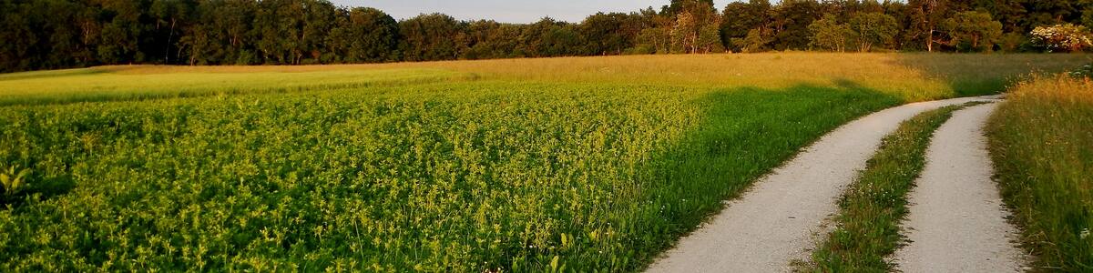 Photo "Abendsonne bei Wiesensteig" by qwesy qwesy (Creative Commons Attribution 3.0) / Cropped from original