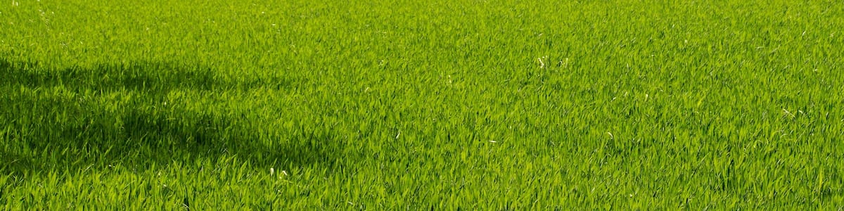 Photo "Landschaftsschutzgebiet Benther Berg - Südaue, Niedersachsen, Deutschland" by Losch (Creative Commons Attribution-Share Alike 3.0) / Cropped from original