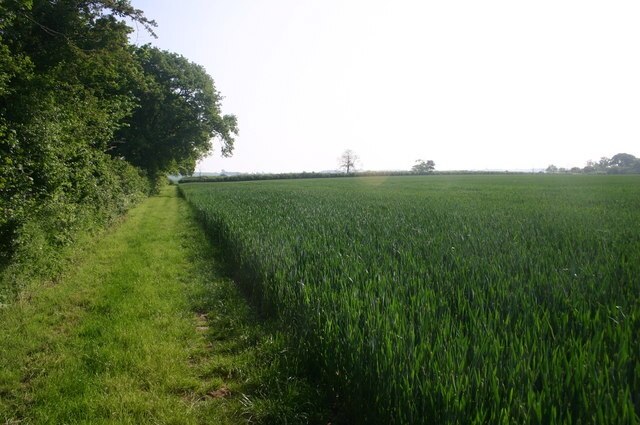 Photo "Shabbington" by Shaun Ferguson (CC BY-SA) / Cropped from original