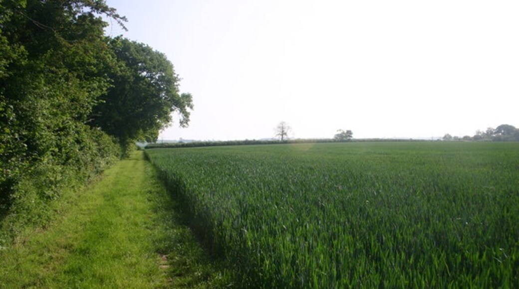 Photo "Shabbington" by Shaun Ferguson (CC BY-SA) / Cropped from original