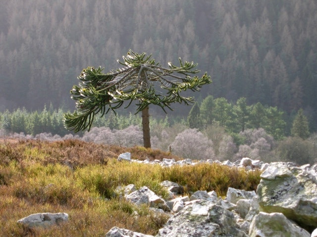 Foto "More" por Dave Croker (CC BY-SA) / Recortada de la original