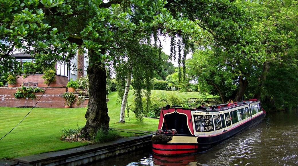 Photo "Barnt Green" by Tanya Dedyukhina (CC BY) / Cropped from original