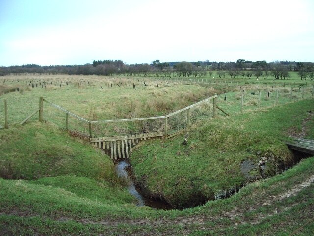 "Nicholforest"-foto av Alexander P Kapp (CC BY-SA) / Urklipp från original