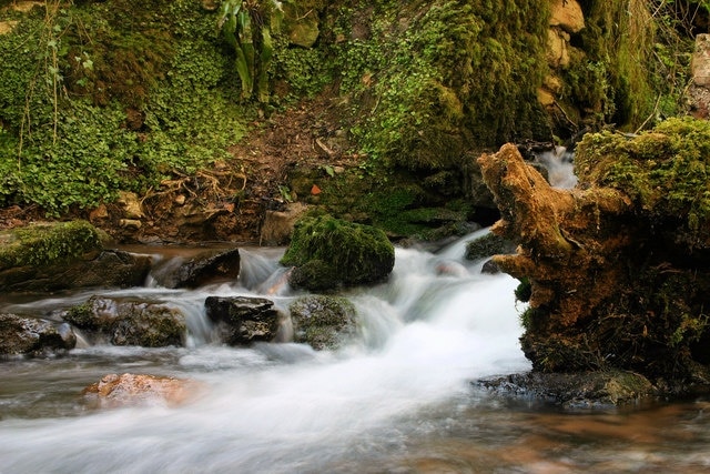 peaceful here the stream between Oakhilland Nettlebridge