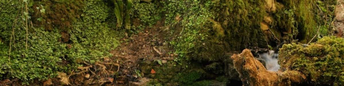 Photo "peaceful here the stream between Oakhilland Nettlebridge" by Steve Batson (Creative Commons Attribution-Share Alike 2.0) / Cropped from original