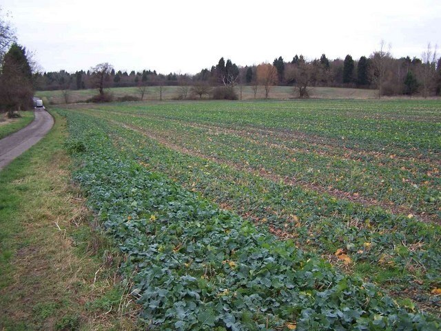 Foto “Courteenhall” tomada por Geoff Pick (CC BY-SA); recorte de la original