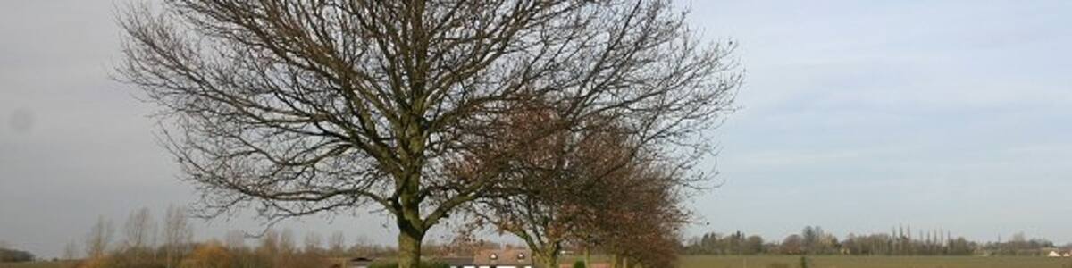 Photo "Track to Park Farm, Wyverstone The track is also a public footpath, linking the churches of Wyverstone and Westhorpe, a mile to the north." by Bob Jones (Creative Commons Attribution-Share Alike 2.0) / Cropped from original