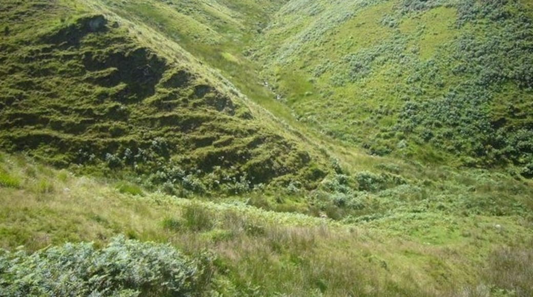 Photo "Tarka Trail" by Nigel Mole (CC BY-SA) / Cropped from original