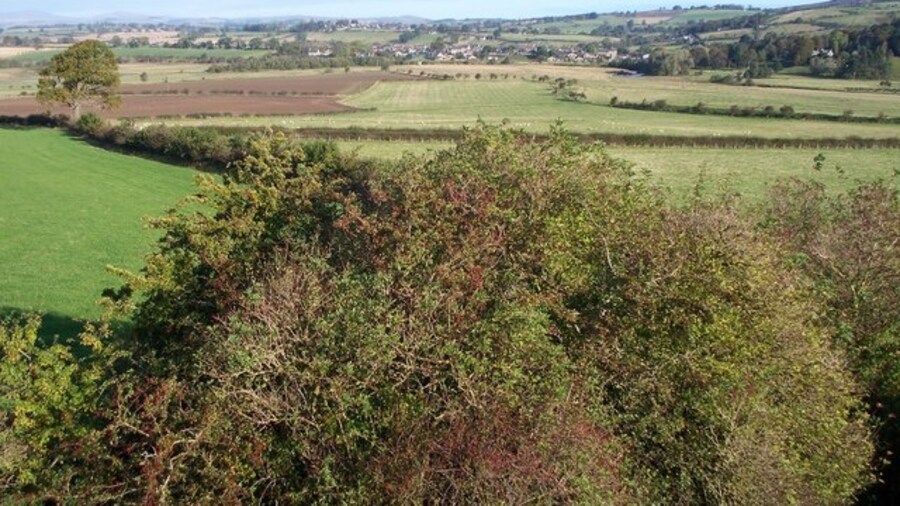 Photo "Thropton, from Tosson Lime Kiln A view of Thropton in NU0202" by David Clark (Creative Commons Attribution-Share Alike 2.0) / Cropped from original