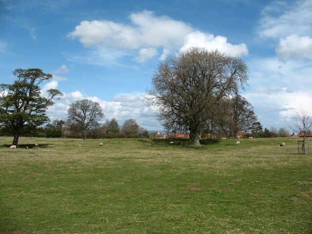 "Marton-le-Moor"-foto av Gordon Hatton (CC BY-SA) / Urklipp från original