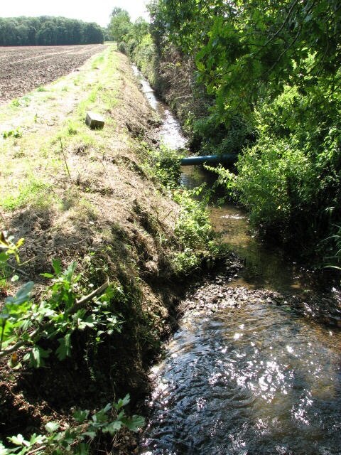 Photo "Suffield" by Evelyn Simak (CC BY-SA) / Cropped from original