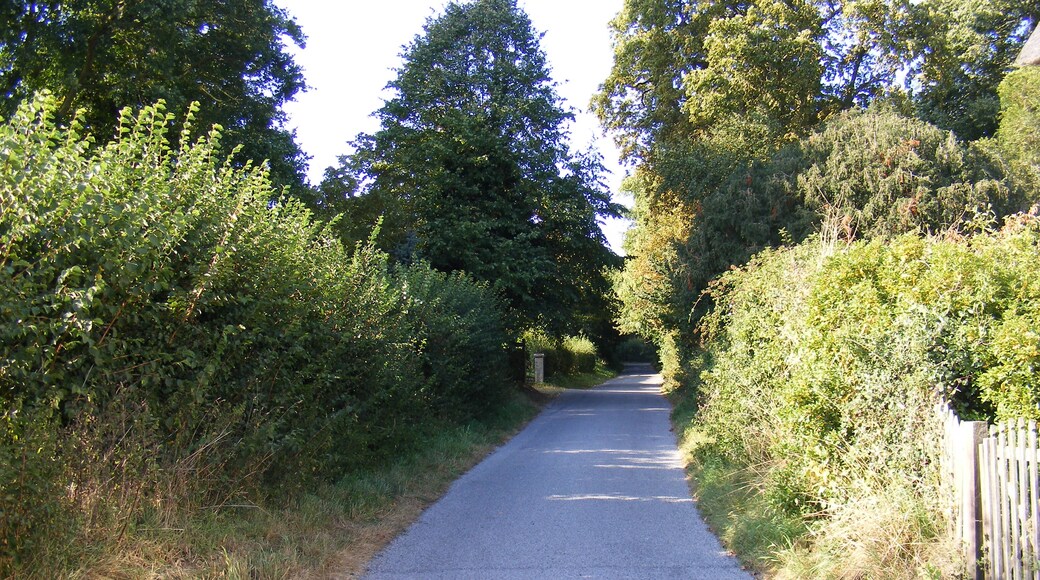 Foto "Marlesford" por Adrian Cable (CC BY-SA) / Recortada de la original