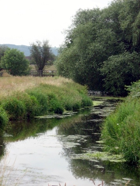 River Yeo The river flowing through Millennium Green.